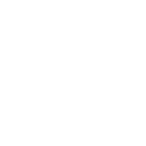 TruckX Logo